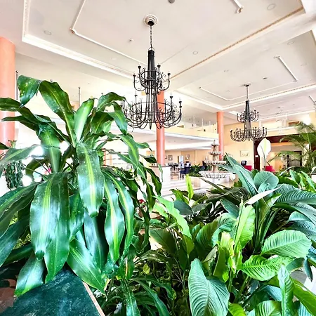 Family Apartment, Close To The Sea, Wifi, Heated Pool דירה סן מיגל דה אבונה
